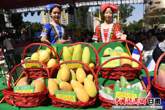 中国芒果之乡百色在兰州推介百色芒果-甘肃