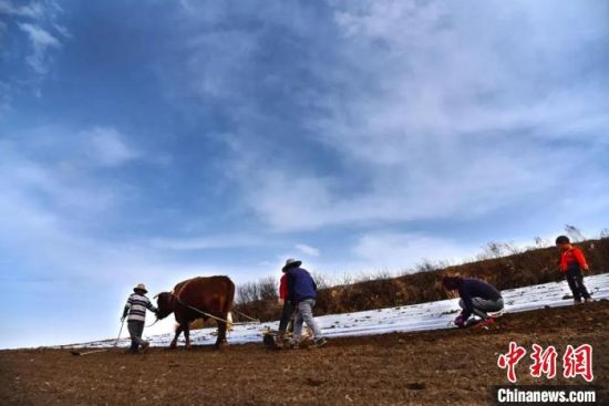 甘肃榆中机械传统农耕相结合 百余亩土地覆膜春耕忙