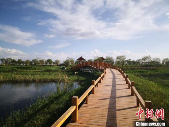 图为5月中旬，甘肃酒泉市肃州区建成的六分西湖湿地景区。　冯志军 摄