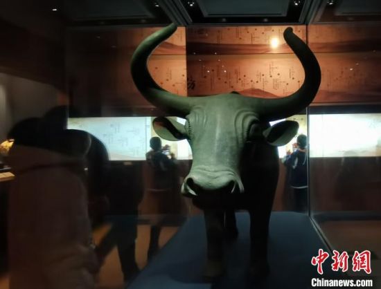 图为甘肃省博物馆展出的国宝级文物铜牦牛复制品。　张婧 摄