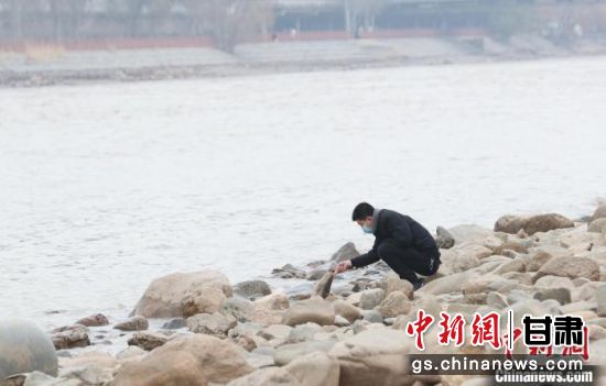 图为在奇石爱好者在黄河河滩上捡拾“黄河奇石”。　艾庆龙 摄