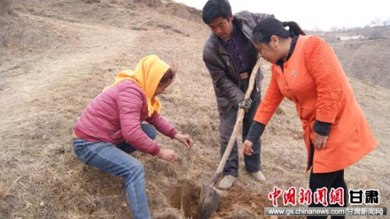 临洮县乡村加大优势主导产业发展助农脱贫